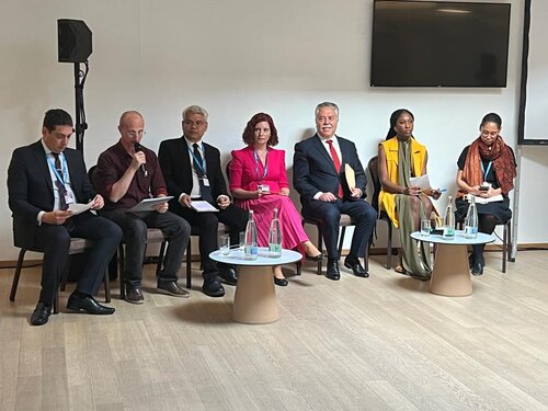 Photo of panelists at WHA social participation side event